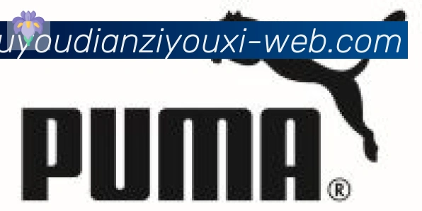 九游电子游戏官网合作伙伴